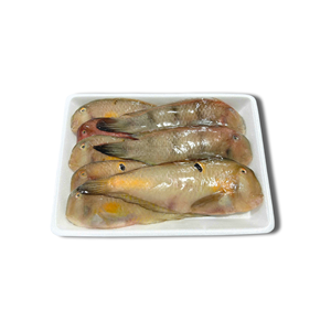 Pargo Bebé Entero Congelado de Vietnam Fresco IQF/BQF, 24 Meses de Vida Útil, Nuevo Marisco Envasado al Vacío a Granel, Precios Competitivos al por Mayor - Product Image 1