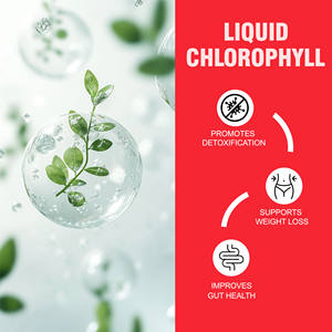 ODM OEM Clorofilina Líquida con Cobre y Sodio, Clorofilina de Cobre y Sodio, Promueve una Digestión Saludable, Energía Natural Sostenida - Product Image 5