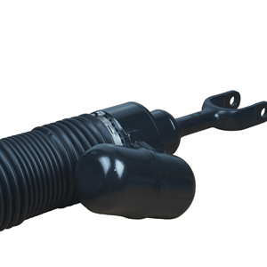 Amortisseurs de suspension pneumatique avant droit 3W7616040F compatibles avec Bentley Continental Flying Spur Phaeton 3D0616040AA - Product Image 5