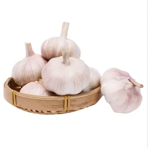 Pabrik 5.5 cm bawang putih murni segar Harga bawang putih/jumlah besar untuk dijual/bawang putih dari Cina
