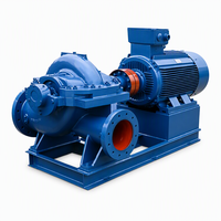 Ensemble de pompes à double aspiration 1200 m³/h 280 CV avec base commune et raccords à bride pour la lutte contre les inondations et les centrales hydroélectriques à grand débit