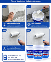 Revêtement liquide pour toiture réfléchissant la chaleur en acrylique, isolation thermique, imperméabilisation, refroidissement, surface extérieure de bâtiment, surface en béton