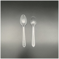 Hittebestendige, solide, transparante, wegwerp plastic PS lepels voor dessert, ijs en proeverijen