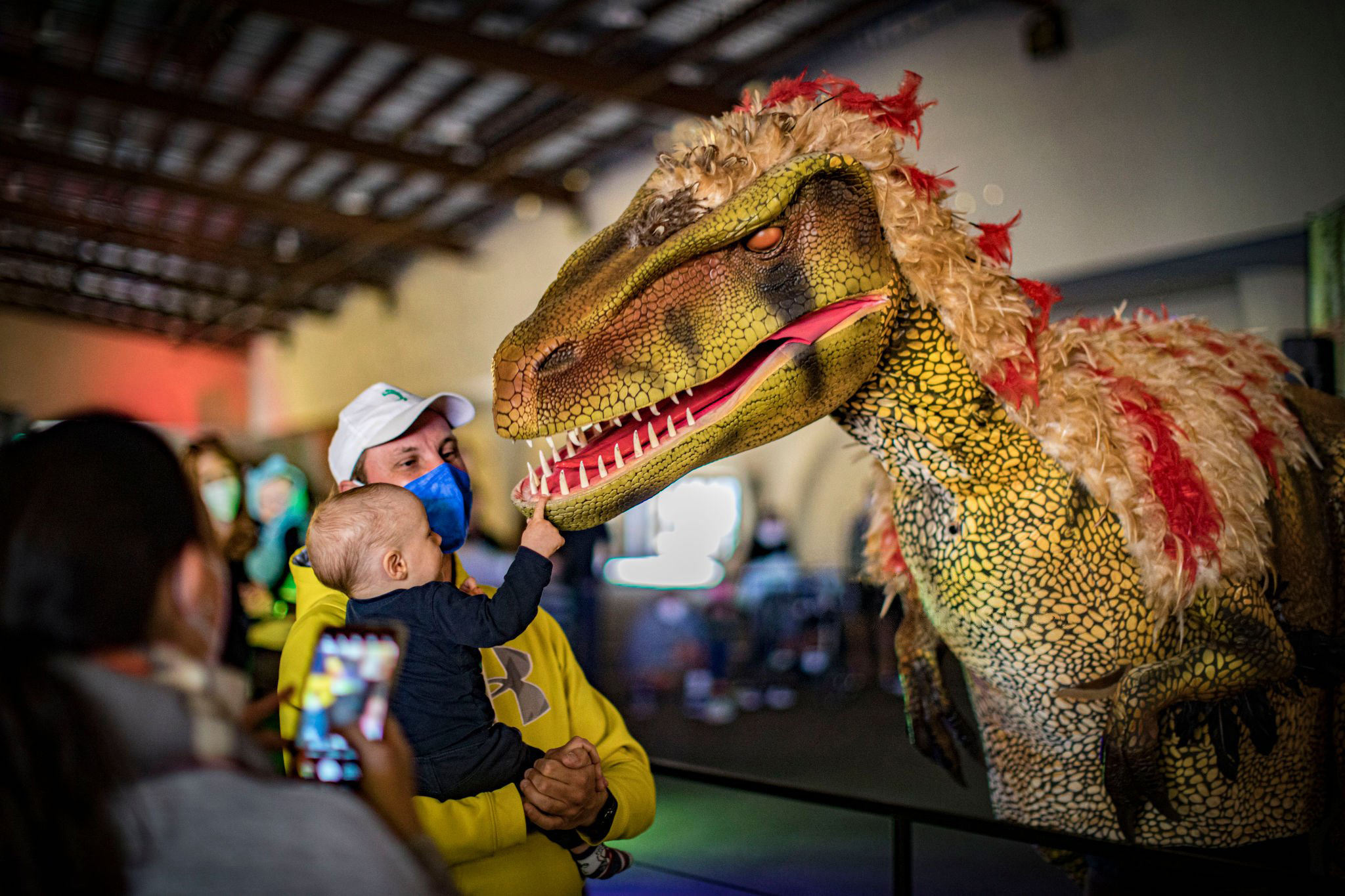 Colors can be customizedf449a7