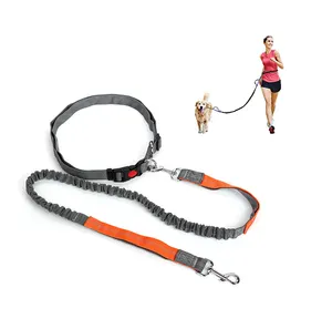 Vendita diretta forniture per animali domestici guinzaglio per cani con guinzaglio da passeggio in Nylon elastico riflettente antideflagrante