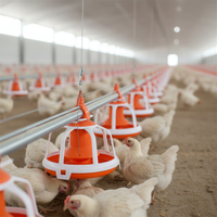 Mangeoire et abreuvoir pour volailles, tétine d'élevage, Caisse de transport de poulets Ikartmali Damacana Suluk