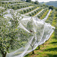 Filet anti-oiseaux en nylon noir robuste pour la protection des baies, l'aquaculture, la prévention des ravageurs dans les champs de melons, les fermes et les serres - Vente en gros