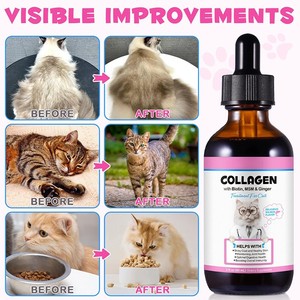 Collagène liquide <span class=keywords><strong>pour</strong></span> animaux de compagnie, OEM, renforce l'immunité, gouttes de <span class=keywords><strong>biotine</strong></span>, complément de collagène <span class=keywords><strong>pour</strong></span> chats - Product Image 3