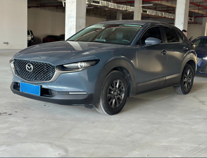 SUV de Segunda Mano, Caja de Cambios Automática, Asientos de Cuero, Techo Solar, Cámara Trasera, Motor de Gasolina 2.0L, Modelo 2021, Volante a la Izquierda, Vehículo Usado - Product Image 6