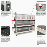 Cage à poulets de chair à 3 niveaux haute capacité, conception à 2 portes pour les fermes avicoles commerciales