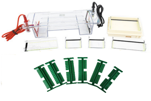 EPT-HZ01 horizontale Elektro phorese Maschine <span class=keywords><strong>Gel</strong></span> <span class=keywords><strong>Agarose</strong></span> horizontale Elektro phorese Tank - Product Image 3