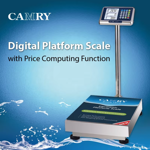 Endüstriyel ticari kullanım için fiyat hesaplama fonksiyonu tezgah 300 ile elektronik Platform tartı KG dijital tartı - Product Image 3