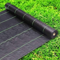 Toile de paillage en plastique tissée robuste anti-UV 100 g/m² pour jardin et aménagement paysager – Rouleau barrière anti-mauvaises herbes