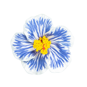 Meilleure Vente : <span class=keywords><strong>Fleur</strong></span> <span class=keywords><strong>de</strong></span> <span class=keywords><strong>Tiaré</strong></span> <span class=keywords><strong>Artificielle</strong></span> en Mousse <span class=keywords><strong>de</strong></span> Plage <span class=keywords><strong>de</strong></span> Haute Qualité (8 cm) et Pique à Cheveux Ours pour la Rentrée Scolaire et la Décoration <span class=keywords><strong>de</strong></span> Fêtes Insulaires - Product Image 5