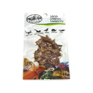 Nourriture pour insectes PROBUGS Eco-fresh Cricket, riche en protéines, populaire pour la nourriture des reptiles, des animaux et des oiseaux - Product Image 3