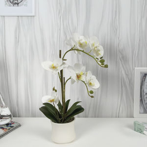 Piante di <span class=keywords><strong>Orchidea</strong></span> Artificiali in PEVA di Alta Qualità, Realistiche al Tatto, con Vaso, Fiori di <span class=keywords><strong>Orchidea</strong></span> con Vaso <span class=keywords><strong>per</strong></span> Decorazione d'Interni - Product Image 1