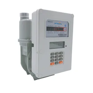 Sts Standaard Compliant Toetsenbord Type Automatisch Valve Gecontroleerde Prepaid Gas Flow Meter