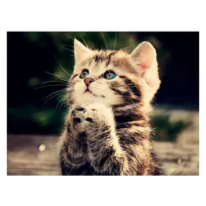 수지 전체 드릴 다이아몬드 페인팅 크로스 스티치 홈 장식 동물 다이아몬드 자수 귀여운 작은 고양이 그림 DIY 공예품