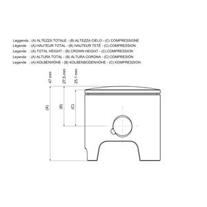 2T Ø 50ขนาดลูกสูบ0พร้อมหมุด Ø 12และ1แหวนสี่เหลี่ยมโครเมี่ยมขนาด AA - Product Image 2