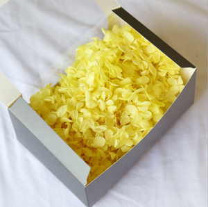 Bán buôn bảo quản Hydrangea flower bất động cảm ứng tú cầu tự nhiên tú cầu cho trang trí đám cưới - Product Image 2