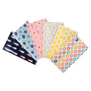 Portefeuille en plastique A6 12 feuilles budgétaires de <span class=keywords><strong>suivi</strong></span> des dépenses Enveloppes en plastique avec dossiers extensibles - Product Image 4