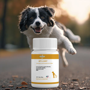 कुत्तों और बिल्लियों के लिए उच्च पोषण कूल्हे और संयुक्त ग्लुकोसामाइन और चोन्ड्रोइटिन टैबलेट के पूरक हिप और संयुक्त समर्थन गतिशीलता का इलाज करते हैं - Product Image 3
