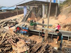 Projet complet de machine à granulés de bois, ligne de production de granulés de combustible biomasse à partir de sciure de bois avec broyeur, concasseur, sécheur et pelletiseur - Product Image 4