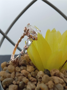 Bague de fiançailles et de mariage de luxe en or rose 14 carats avec trois diamants ovales de 2 carats cultivés en laboratoire, qualité VVS - Product Image 2