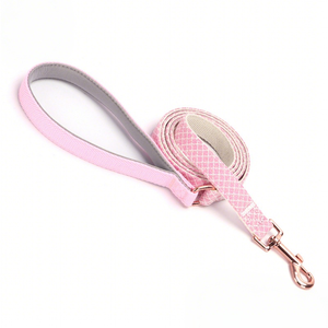 Correa de perro de nailon de poliéster duradero al por mayor, correa de plomo antideslizante para mascotas al aire libre, cinta de cadena P, <span class=keywords><strong>Collar</strong></span> para caminar para perros de <span class=keywords><strong>Color</strong></span> sólido puro - Product Image 3