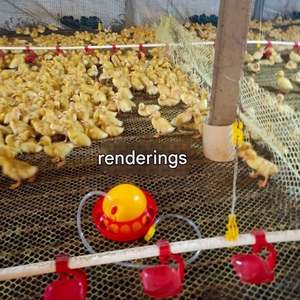 Bebedero de granja de pollos Pato Paloma Pájaro Fuente <span class=keywords><strong>Plasson</strong></span> Botella de agua para incubar Bebedero automático de pollo con rejilla - Product Image 2