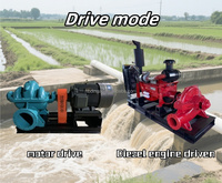 Pompe à eau personnalisable à haute pression OEM à moteur diesel chromé Pompe à jet à double aspiration pour l'irrigation agricole