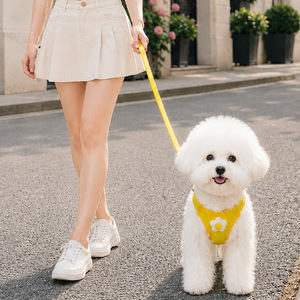 Small and medium-sized dog leash, Teddy, Pomeranian, Bichon Frise dog leash, summer breathable vest-style <b>harness</b>, walking chain - Product Image 2