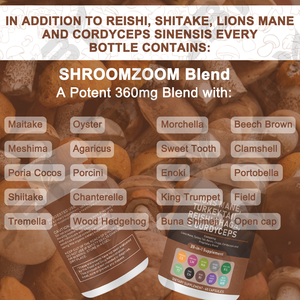 JBY 天然栄養補助食品 マッシュルームサプリメントカプセル マッシュルームノオトロピックカプセル - Product Image 3