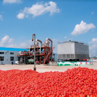 Volledig automatische tomatenverwerkingsapparatuur, turnkey tomatenpuree productielijn, mixer voor tomatensausconcentraat