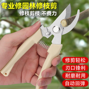Garden Pruning Shears Stainless Steel Bypass Pruner 20-30 Mm For Fruit Tree Trimming Yangjiang Made - Product Image 1
