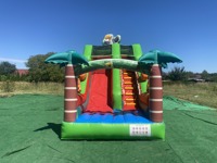 Toboggan aquatique gonflable pour parcs d'aventure sportifs ou divertissements en plein air, certifié CE, capacité de 500 à 1000 kg