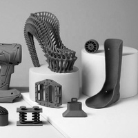 Prototypage sur mesure avec imprimante 3D SLS, film d'impression ABS, service d'impression plastique 3D, impression 3D, prototypage d'objets pour animaux de compagnie avec imprimante 3D