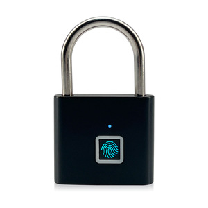 Serrure Intelligente à Empreinte Digitale Yuefeng Maishi DwL11, Petit Cadenas de Porte avec Méthode de Déverrouillage par Empreinte Digitale - Product Image 1