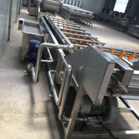 HNOC 10KW Automatische Groente- en Fruitbelletjeswaslijn Luchtbelreinigingsmachine 3725mm 304 RVS Commercieel