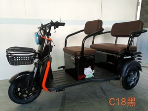 Tricycle <span class=keywords><strong>électrique</strong></span> ouvertement personnalisable pour les personnes âgées/handicapées à utiliser comme <span class=keywords><strong>moyen</strong></span> <span class=keywords><strong>de</strong></span> <span class=keywords><strong>transport</strong></span> pendant le cyclisme en ville - Product Image 3