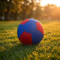 Ballon d'entraînement robuste anti-explosion 1680D/2520D de 18 et 25 pouces pour chiens, idéal pour le dressage et le herding