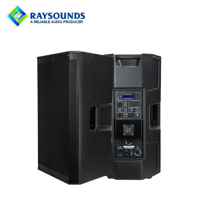 Raysounds Factory Fashion RMS 500W 15inch Professional Plastic Loudspeaker Built-in Amplifier Hi-Res Audio for Party Stage