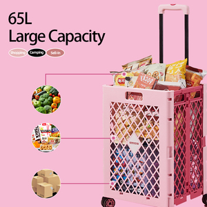 Logo personnalisé Mesh <span class=keywords><strong>Design</strong></span> Pratique Panier Pliable avec 4 Roues pour Pique-Nique Camping - Product Image 6