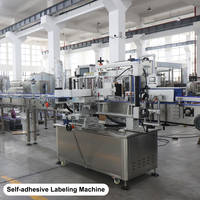 Ligne de production d'eau potable automatique 15000-18000 BPH, entraînement entièrement servo-moteur, haute stabilité, faible entretien, CE ISO SGS