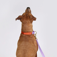 Fullto Collier pour chien Martingale d'entraînement en plein air en nylon polyester avec logo à motif personnalisé