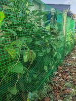 Clôture de jardin en plastique, clôture temporaire, barrière pour animaux, chien, cerf, poulet, volaille, lapin, noir 5 x 65 pieds