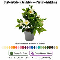 Tanaman Pot gantung buatan Mini Dekor, gaya desain Eropa Indoor Outdoor, Pot bunga gantung, grosir mal belanja rumah