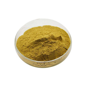 Estratto di Opuntia Dilenini/Estratto di Cactus/Estratto di Hoodia Cactus per la Salute e la Naturalezza - Product Image 1