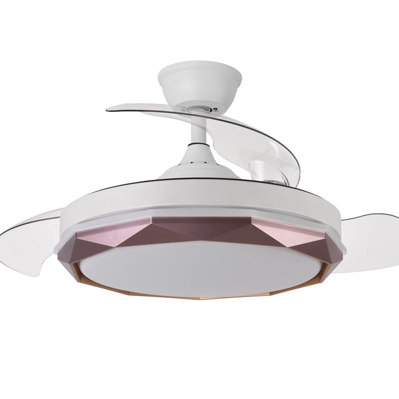 Blanco + Champagne oro