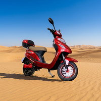 Moto Électrique Adulte Haute Qualité Longue Portée 50 km Scooter Électrique 48 V Trekking Homme Moteur Arrière Sans Permis